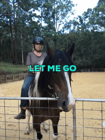 Horse GIF