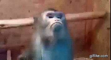 giphy.gif?cid=790b76114f1a42ab79c6f852e4