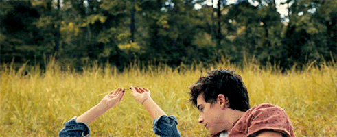 Timothee Chalamet Films GIF