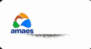 Amaesnamidia GIF by Amaes