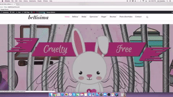 Website Development Web Design GIF