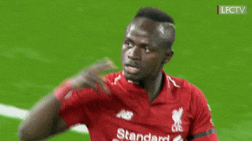 happy premier league GIF by Liverpool FC