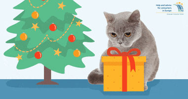 santa claus cat GIF by European Consumer Centre Poland
