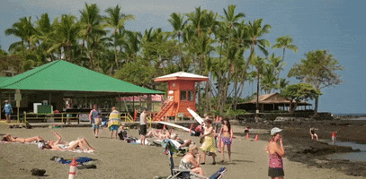hawaii GIF