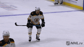 ice hockey dancing GIF by NHL