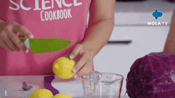 Food Cooking GIF by Mola TV Kids
