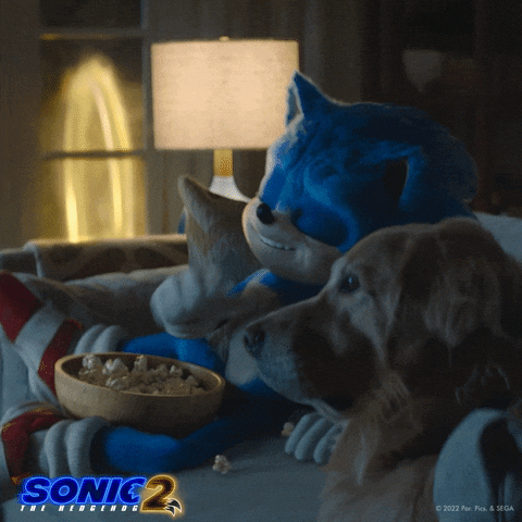 Ben Schwartz Sonic Movie GIF by Sonic The Hedgehog