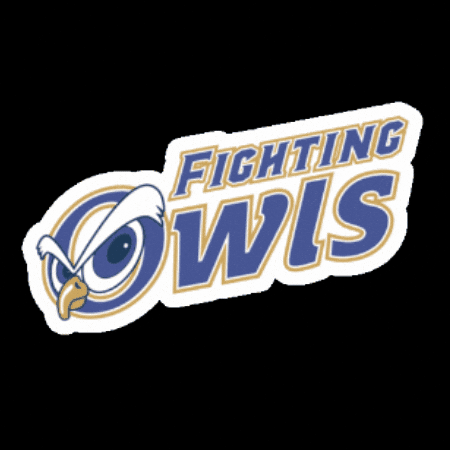 Aip GIF by Academia Interamericana de Panama