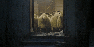 Farm Lamb GIF by A24