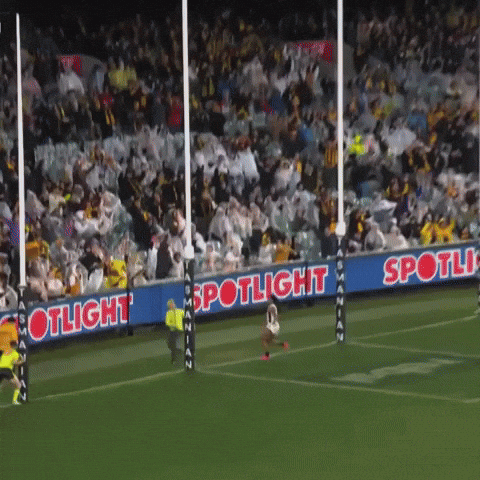 Hawthorn Hawks GIF