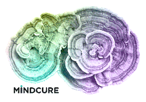 Mind Mushroom Sticker by MINDCURE