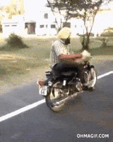 like a boss win GIF