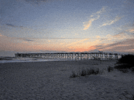 Oak Island Oki GIF