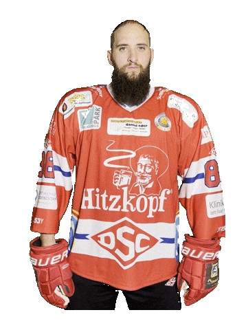 Hockey Sticker by dsc-eishockey