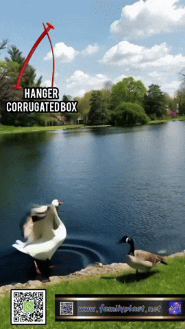 Trending GIF