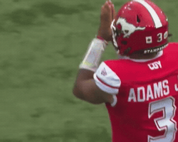 Jr Celebrate GIF