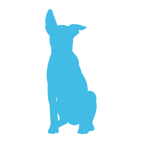 Dog Sticker by bluepearl pet hospital