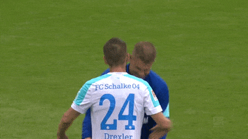 Soccer Celebration GIF by FC Schalke 04