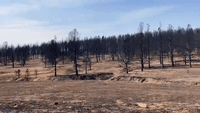 Footage Shows Wildfire Damage North of Las Vegas