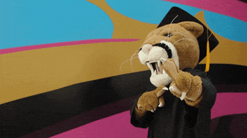 Proud Hype GIF by Palm Beach State College