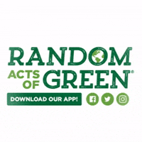 randomactsofgreen-ecofriendly-climateaction-raog-1Go1Bq0VN2GN5Elh2x