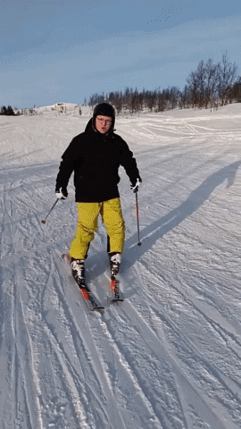 Crash GIF