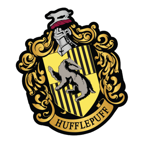 Harry Potter Sticker by Harveys Seatbelt Bag