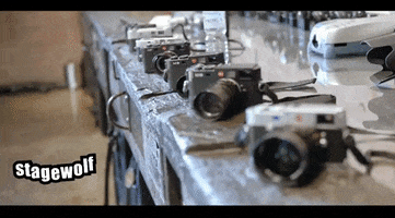 Film Camera GIF by STAGEWOLF