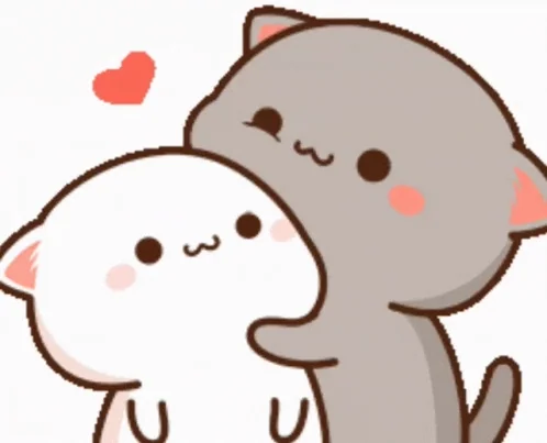 giphy.webp