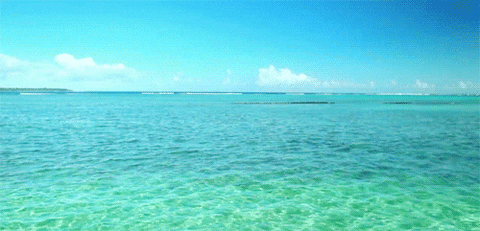 The Ocean View GIFs - Get the best GIF on GIPHY