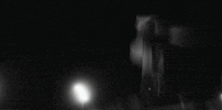 X Ray Fall GIF by Alan