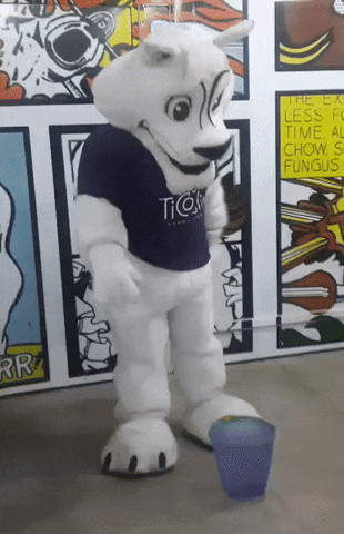 Tico Balde GIF