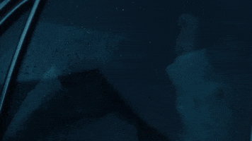 New Music Hello GIF by Manchester Orchestra