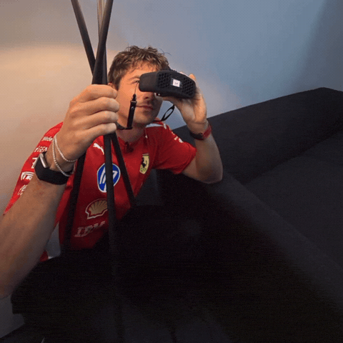 Charles Leclerc GIF