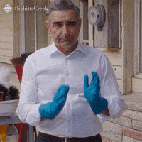 begging schitts creek GIF by CBC