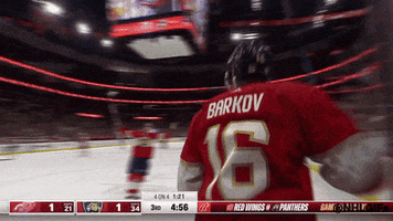 Happy Stanley Cup Playoffs GIF by NHL