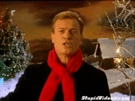 dylangowan christmas beaurepaires vince martin GIF