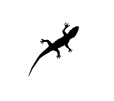 ColomboGroup Sticker