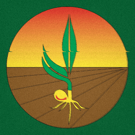 GIF by AgroSuporte Cristalina