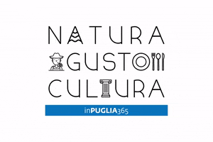 Bari Lecce GIF by WeAreinPuglia