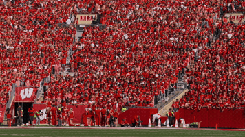 College Football Go Badgers GIF by Wisconsin Badgers