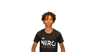 Niro Legacy Sticker