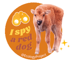 Ecology Project International Sticker