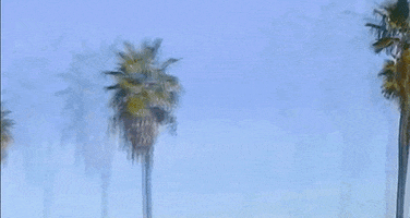 los angeles california GIF