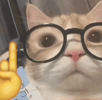 Catmarkz GIF