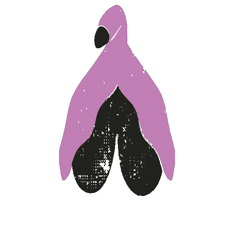 Anatomy Sticker by Vulvárias