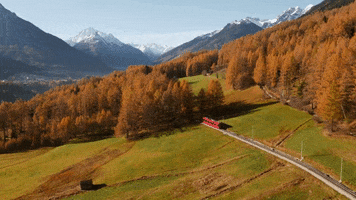 on my way autumn GIF by Tirol