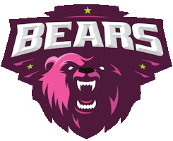 F45 Bears Sticker by F45 Pearl District