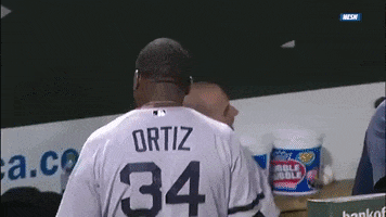 Mondaymorning Mlb Bigpapi Meltdown GIF