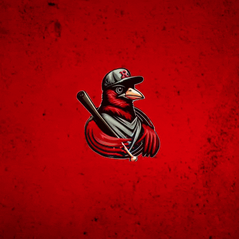 Redbirdriot GIF